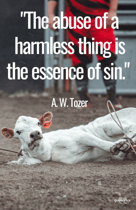 Quotes on animal abuse