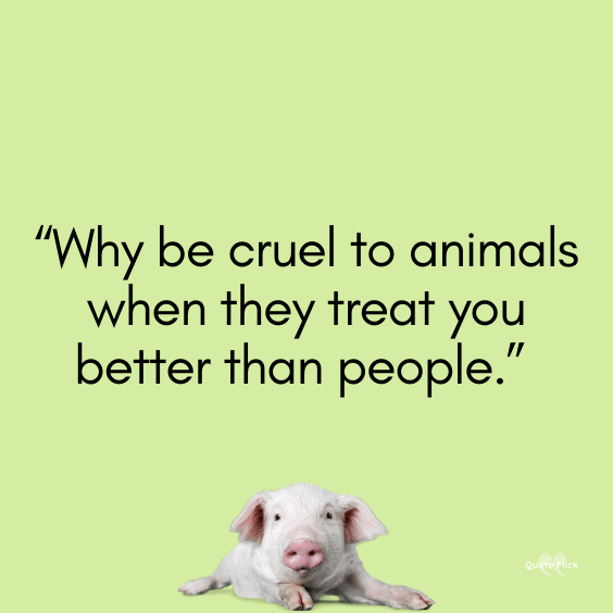 Quotes on animals cruelty