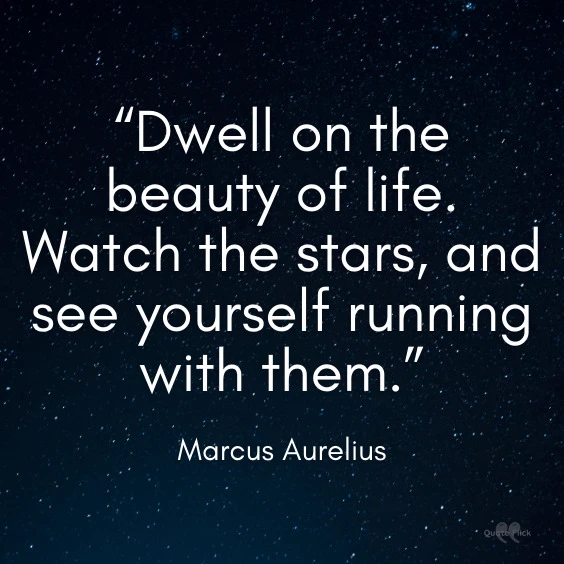 Sayings about stars