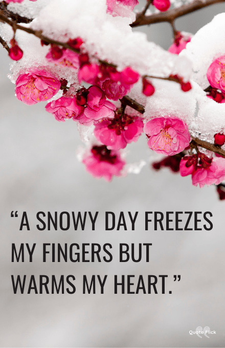 Snowy quotes