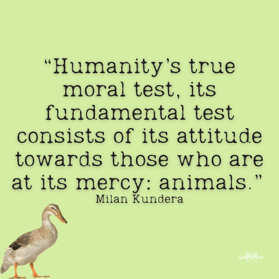 60 Powerful Animal Abuse Quotes To Help Stop Cruelty