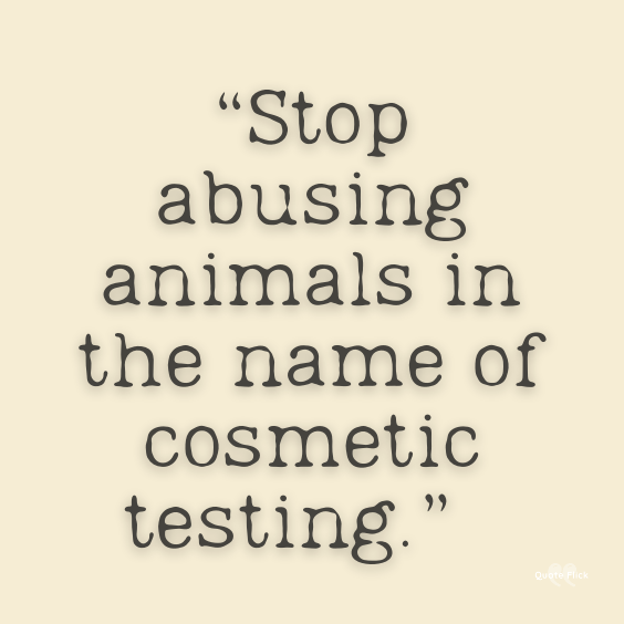 Stopping animal cruelty quotes