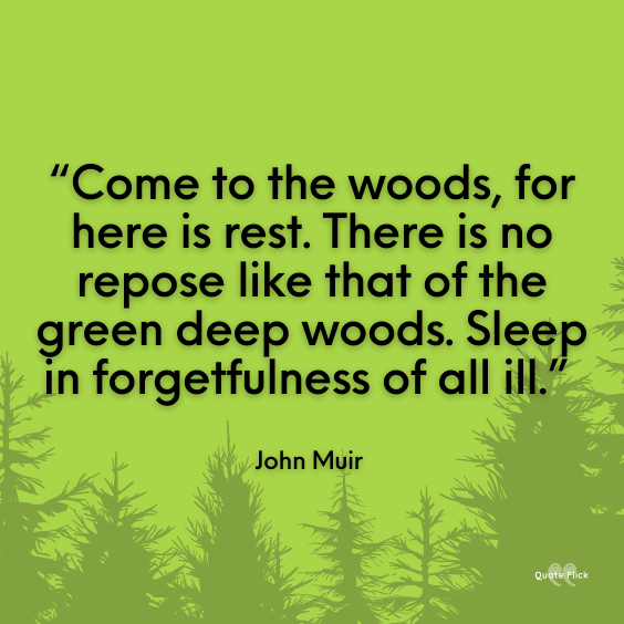 Walk in the woods quotations