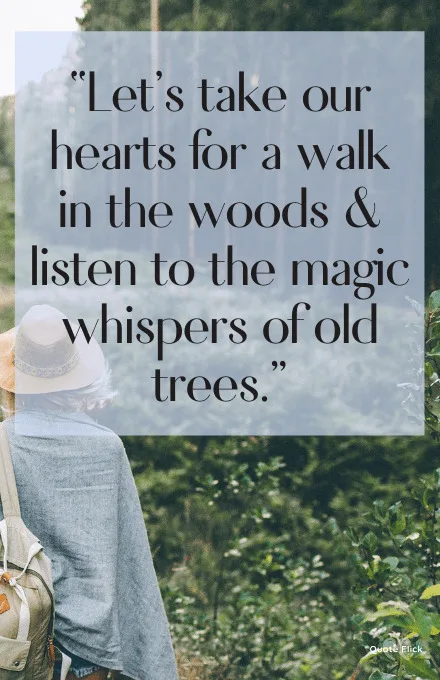 Walk in the woods quotes
