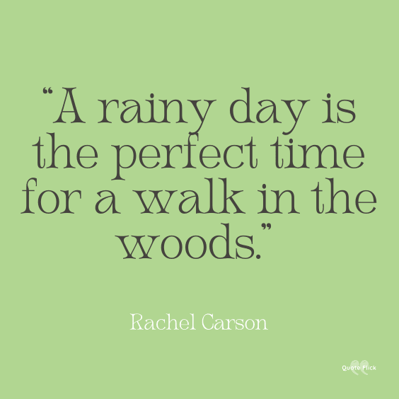 Walking in the woods quotes