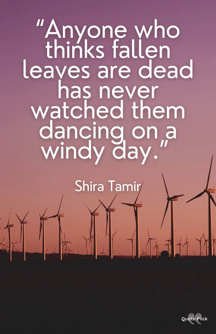 Windy day quotes