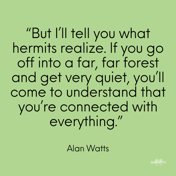 You are in a forest quote