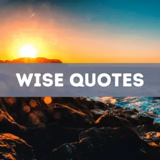 120 wise quotes