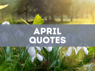 20 April Quotes