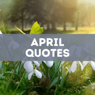 20 April Quotes