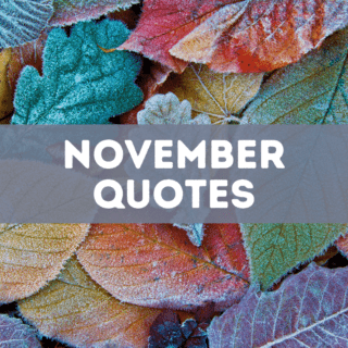 25 November Quotes