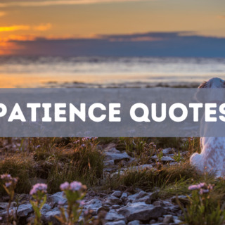 30 patience quotes