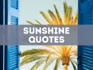 30 sunshine quotes