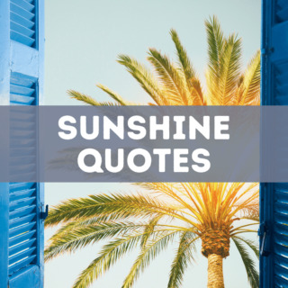 30 sunshine quotes