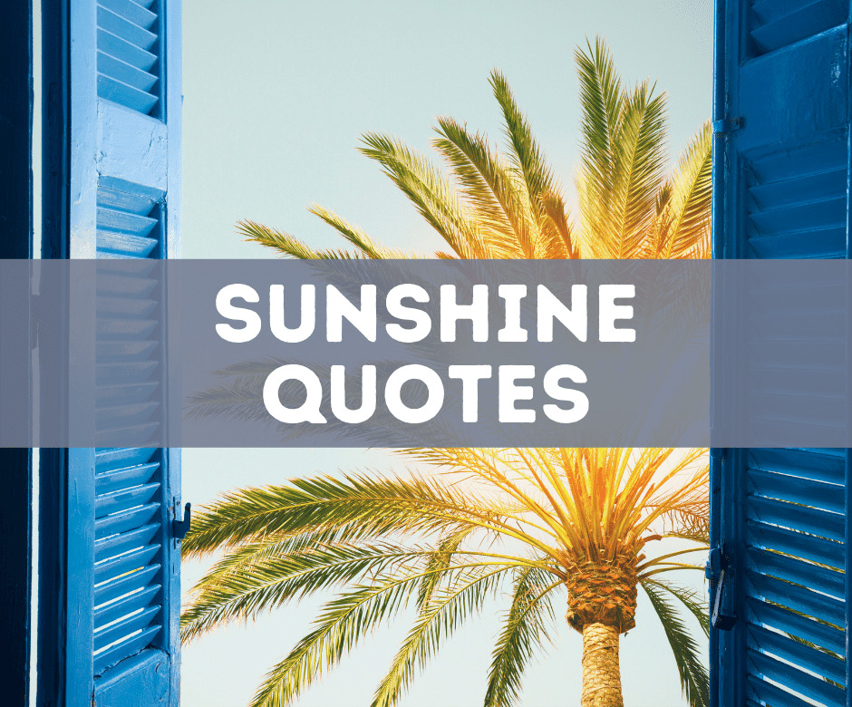 30 Beautiful Sunshine Quotes To Uplift You And Inspire You