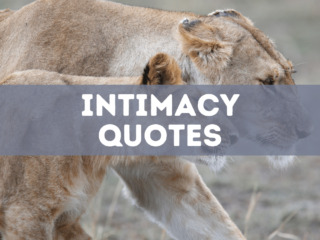 40 intimacy quotes