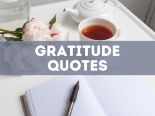 50 gratitude quotes