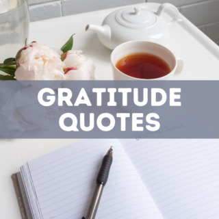 50 gratitude quotes
