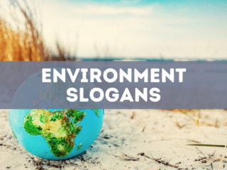 80 environment slogans