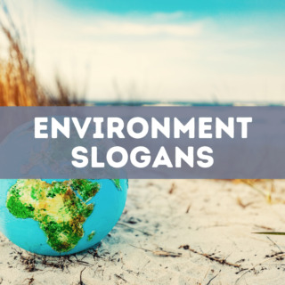 80 environment slogans