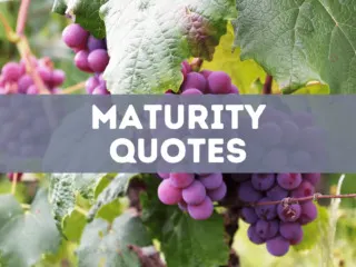81 Maturity Quotes