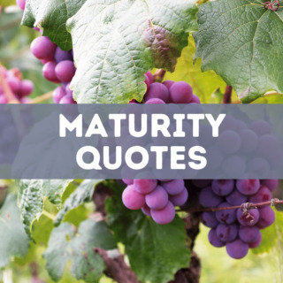 81 Maturity Quotes