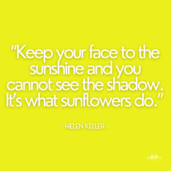 advice from a sunflower quote