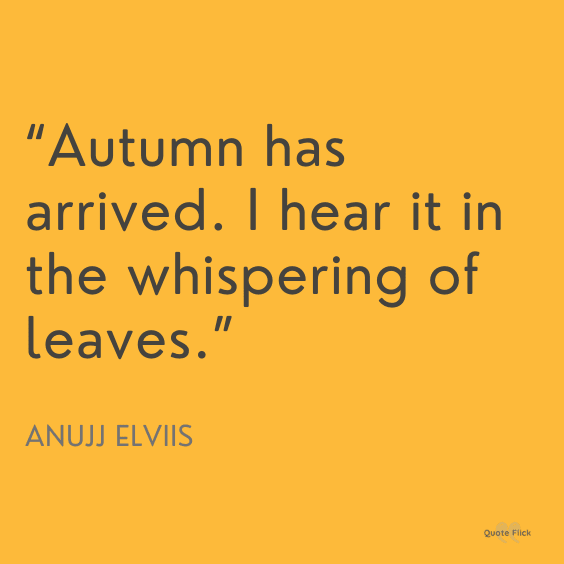 Autumn phrases