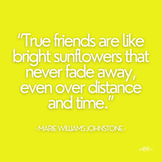 beautiful sunflower quotes
