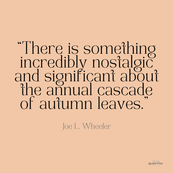 Best autumn quotes
