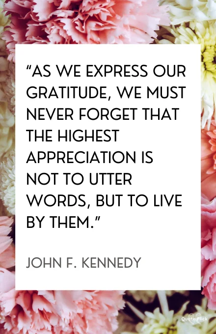 Best gratitude quote
