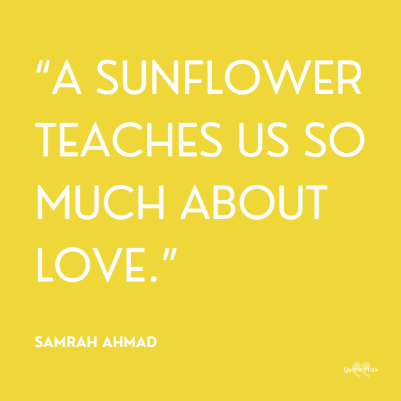 Best sunflower quote