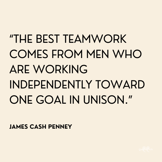Best teamwork quotation