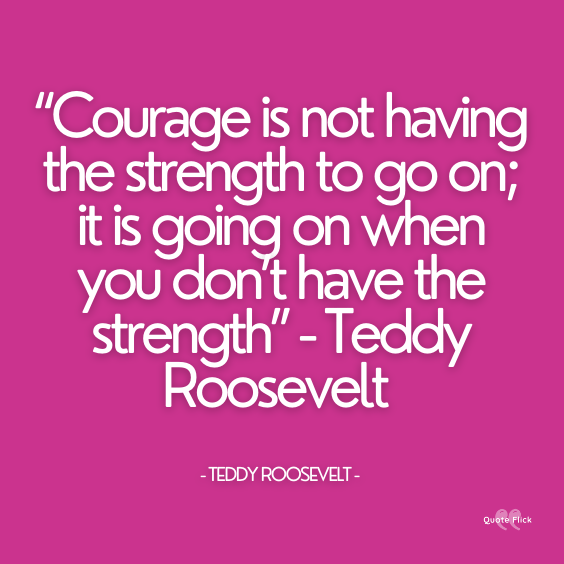 Courage quote 1