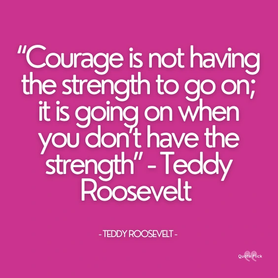 Courage quote 1