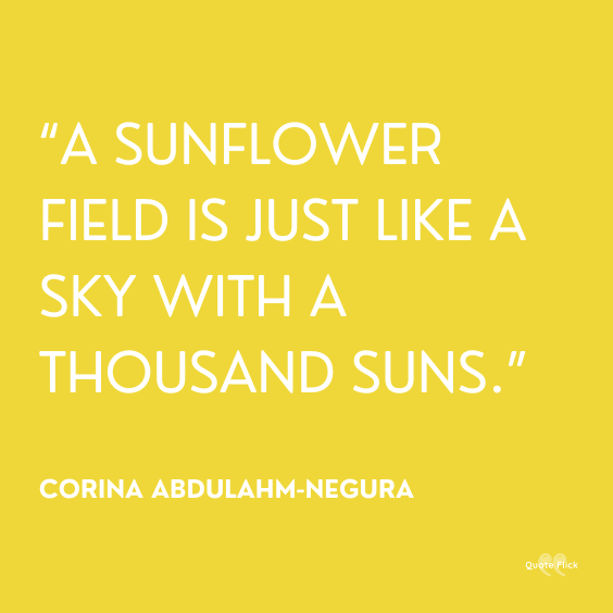 cute sunflower quotations