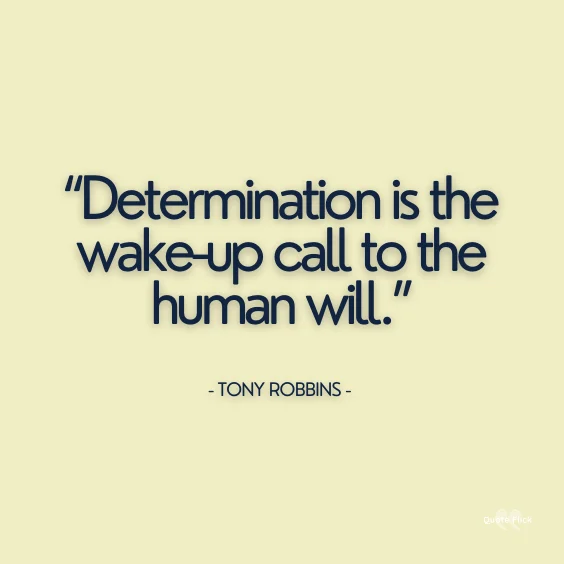 Determination phrases