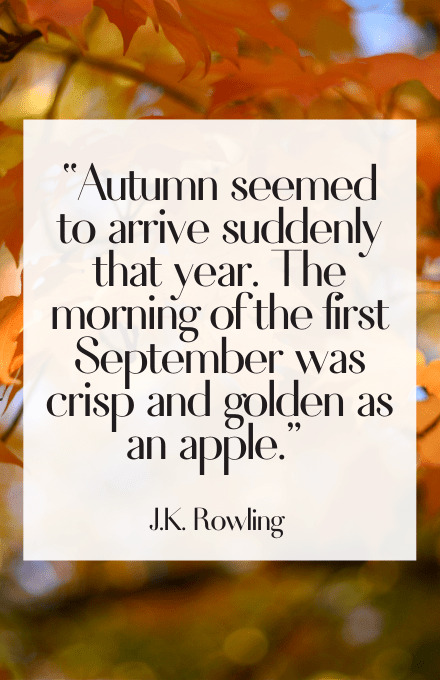 Fall season quotes