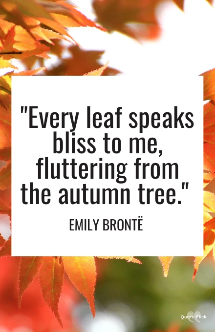 Falling leaf quotes