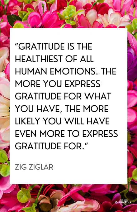 Gratefulness quotes