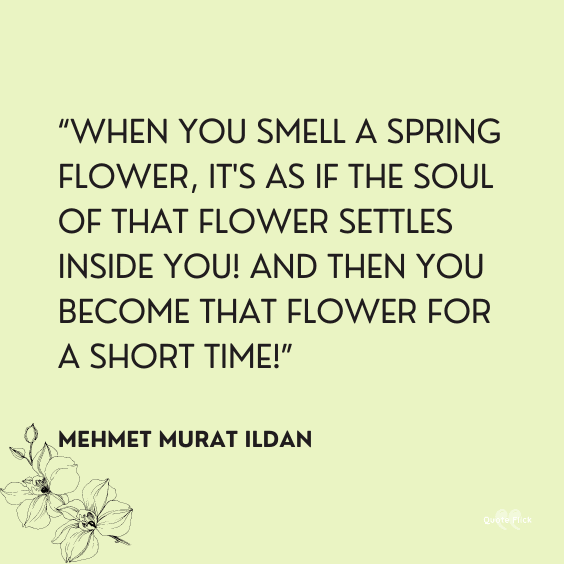 Happy spring quotes