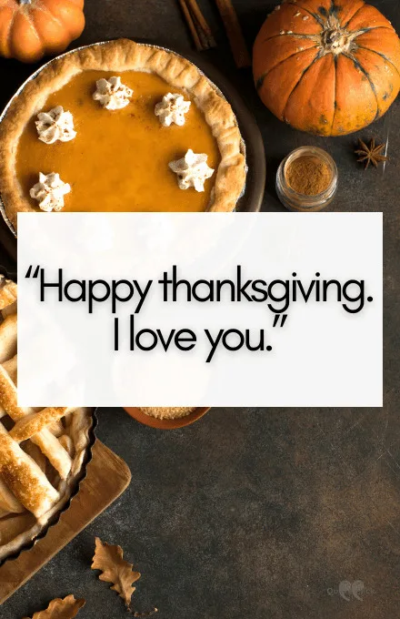 Happy thanksgiving quotes