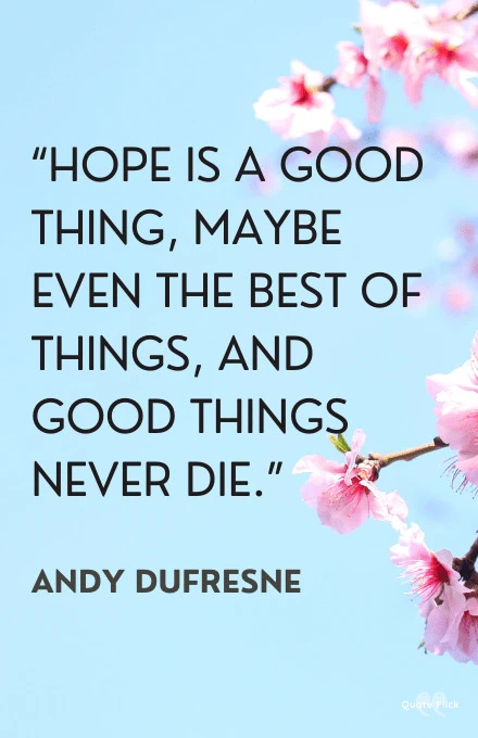 Hope for the best quote