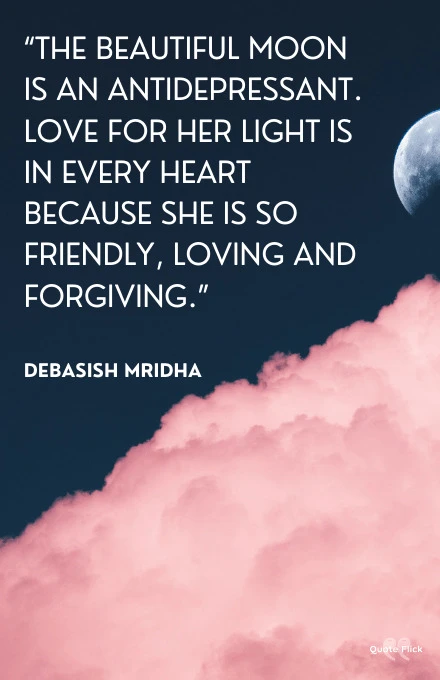 Love Moon Quotes