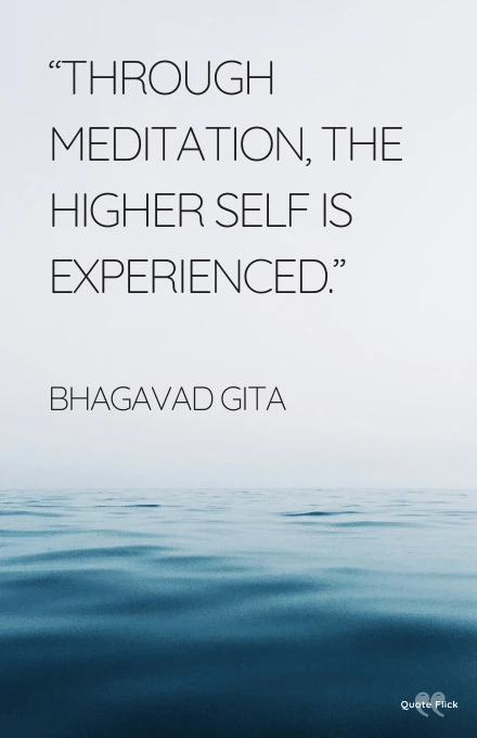 Quotation on meditation