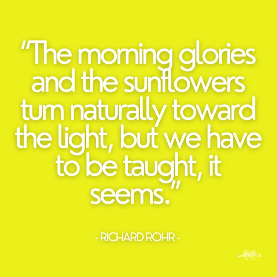 quotation with sunflowers