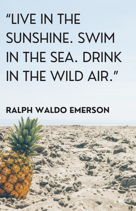 Quote about summer