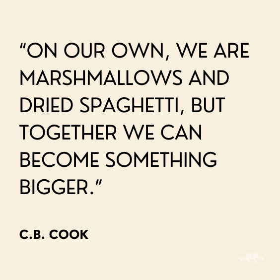 Quote about teamwork