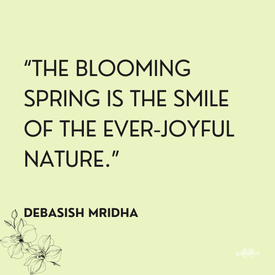 Quote on Spring