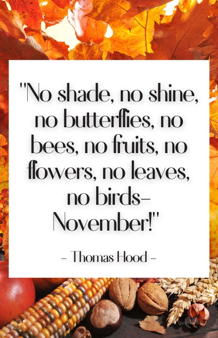 Quotes November
